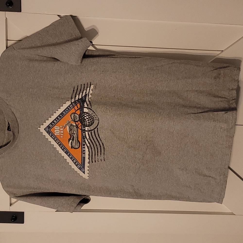 Harley-Davidson T-shirt, mens, size medium, color grey